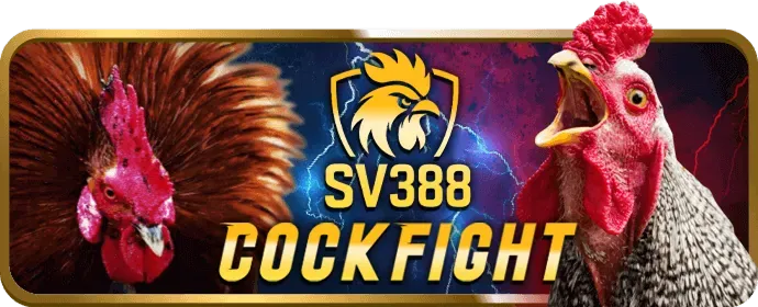 Nổ Hũ qc6672